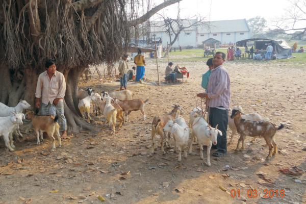 Market Functioneries at K.B